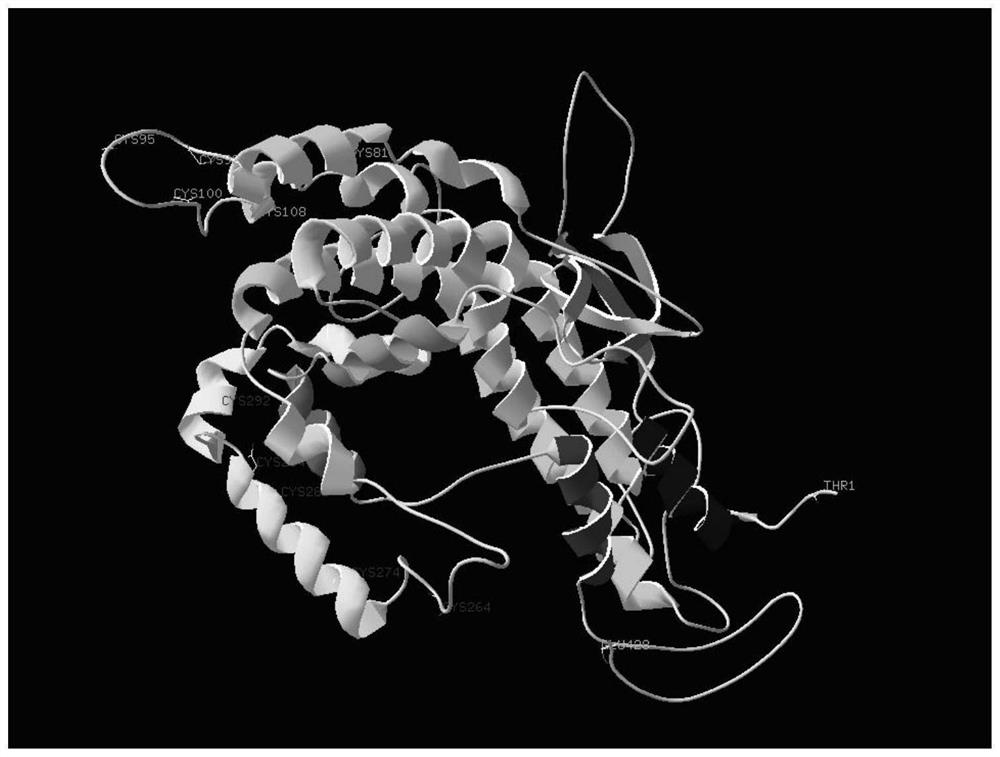 Crystal structure and application of recombinant apolipoprotein J and analogues thereof