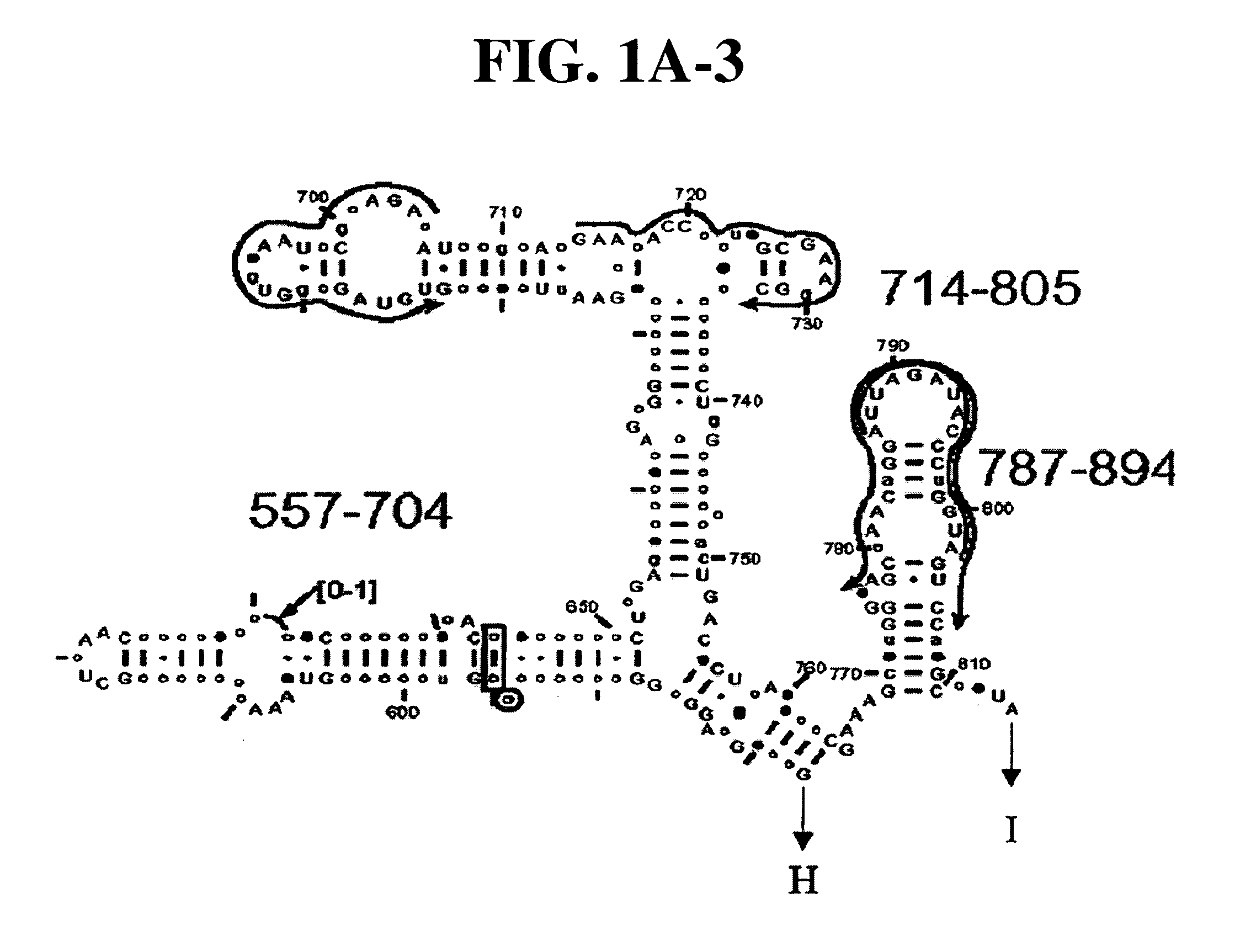 Method for rapid detection and identification of bioagents