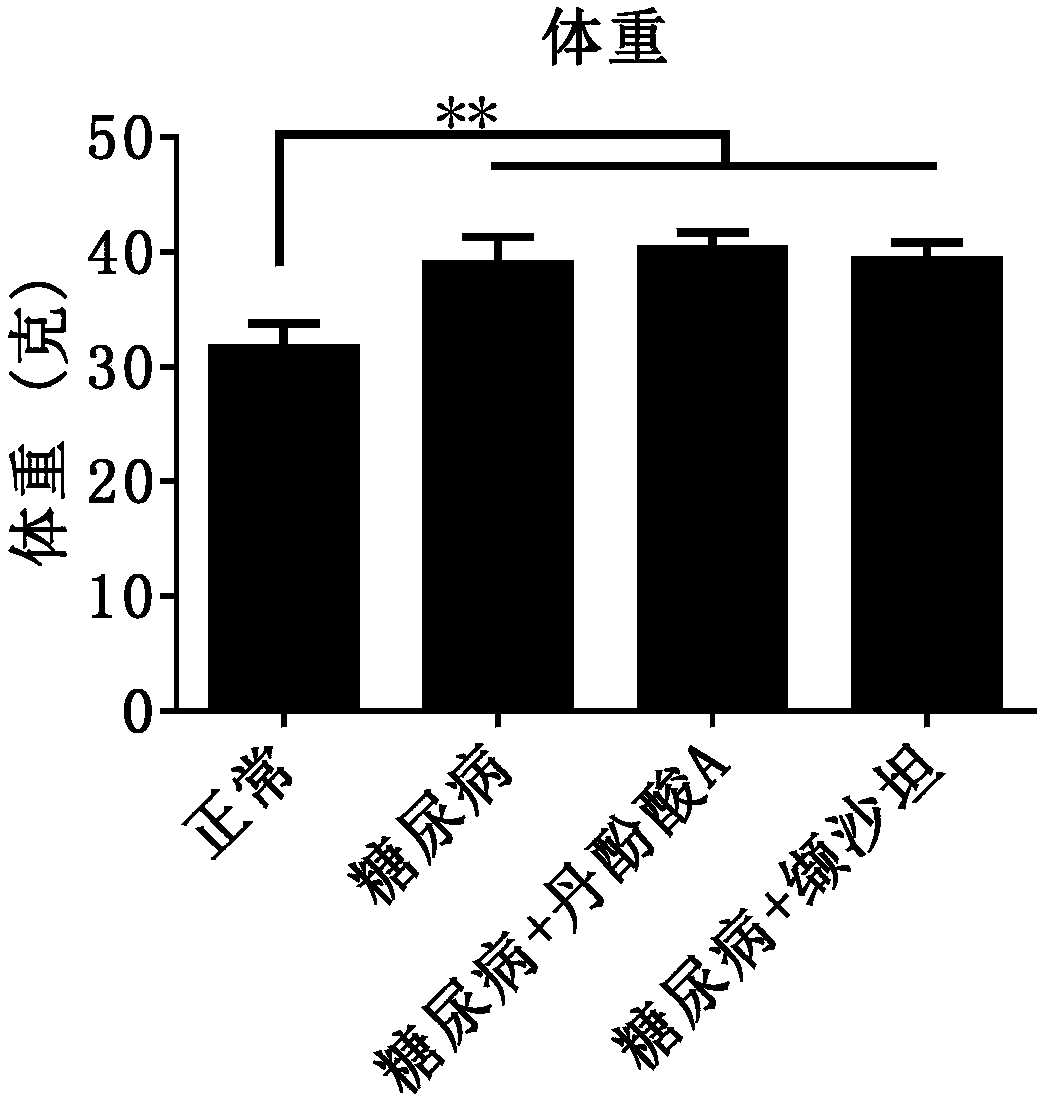 Applications of salvianolic acid A in preventing and treating muscular atrophy, myopathy and musculoskeletal complications