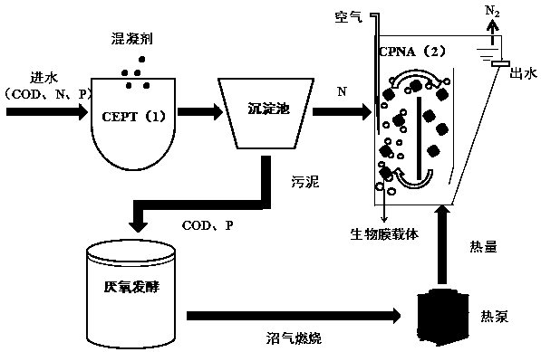 High-altitude municipal wastewater treatment method based on nitrogen and phosphorus capture and whole-course autotrophic nitrogen removal
