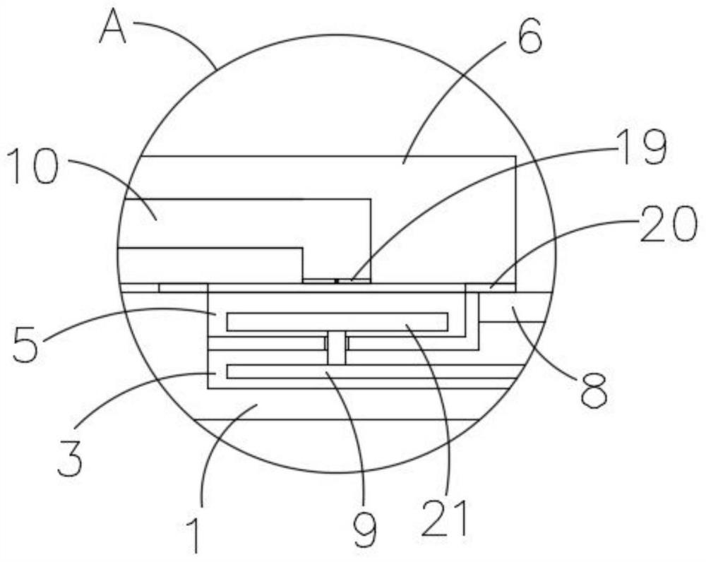 Two-in-one colloidal gold reagent plate for detecting quinolones in aquatic products