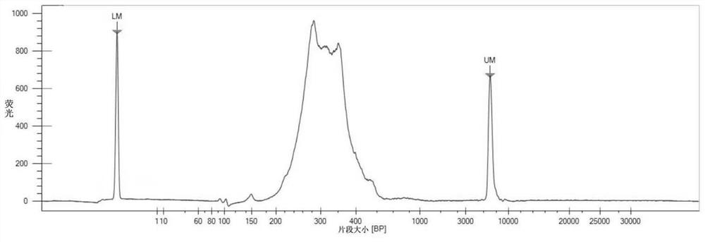 Reagent for detecting DNA methylation and application