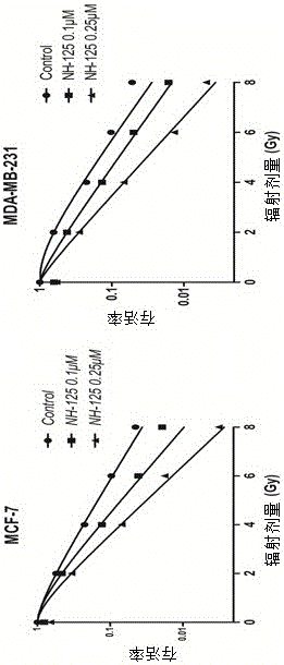 Tumor radiosensitizer containing eEF2K inhibitor