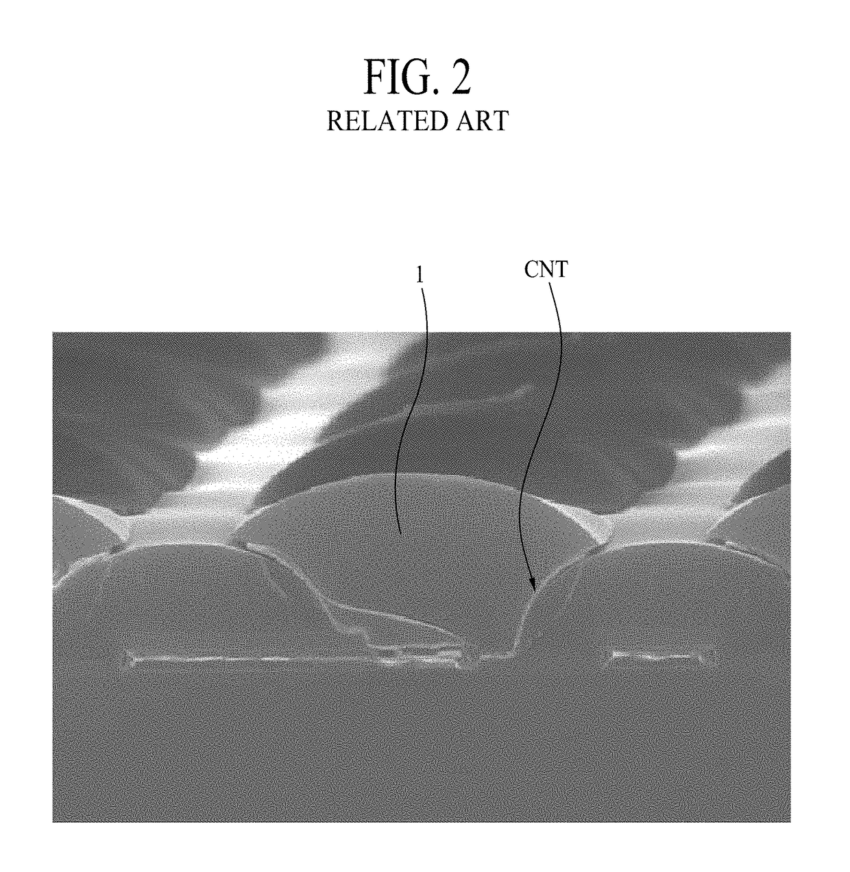 Organic light emitting display device