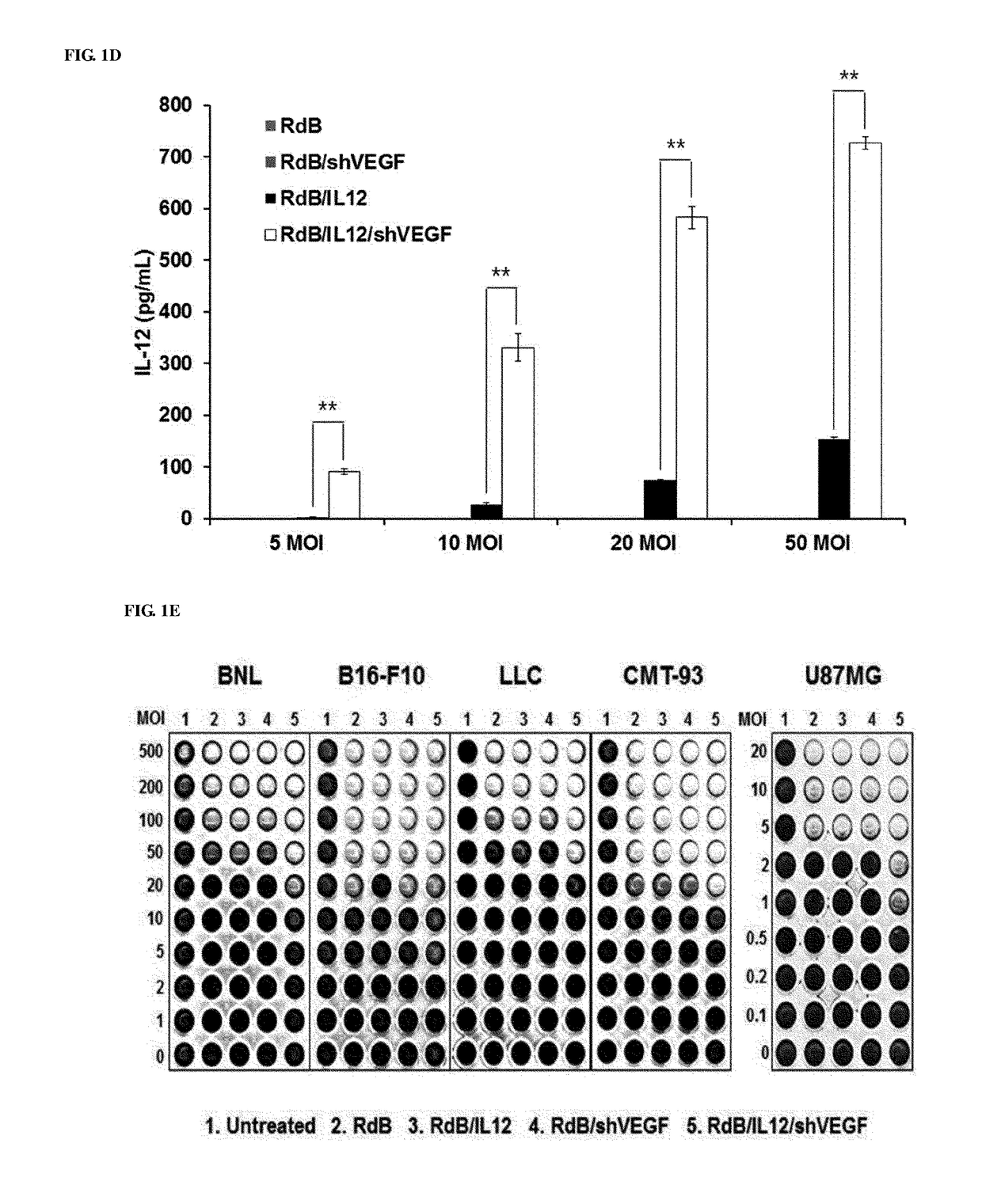 Antitumor immunity enhancing composition containing adenovirus simultaneously expressing il-12 and shvegf
