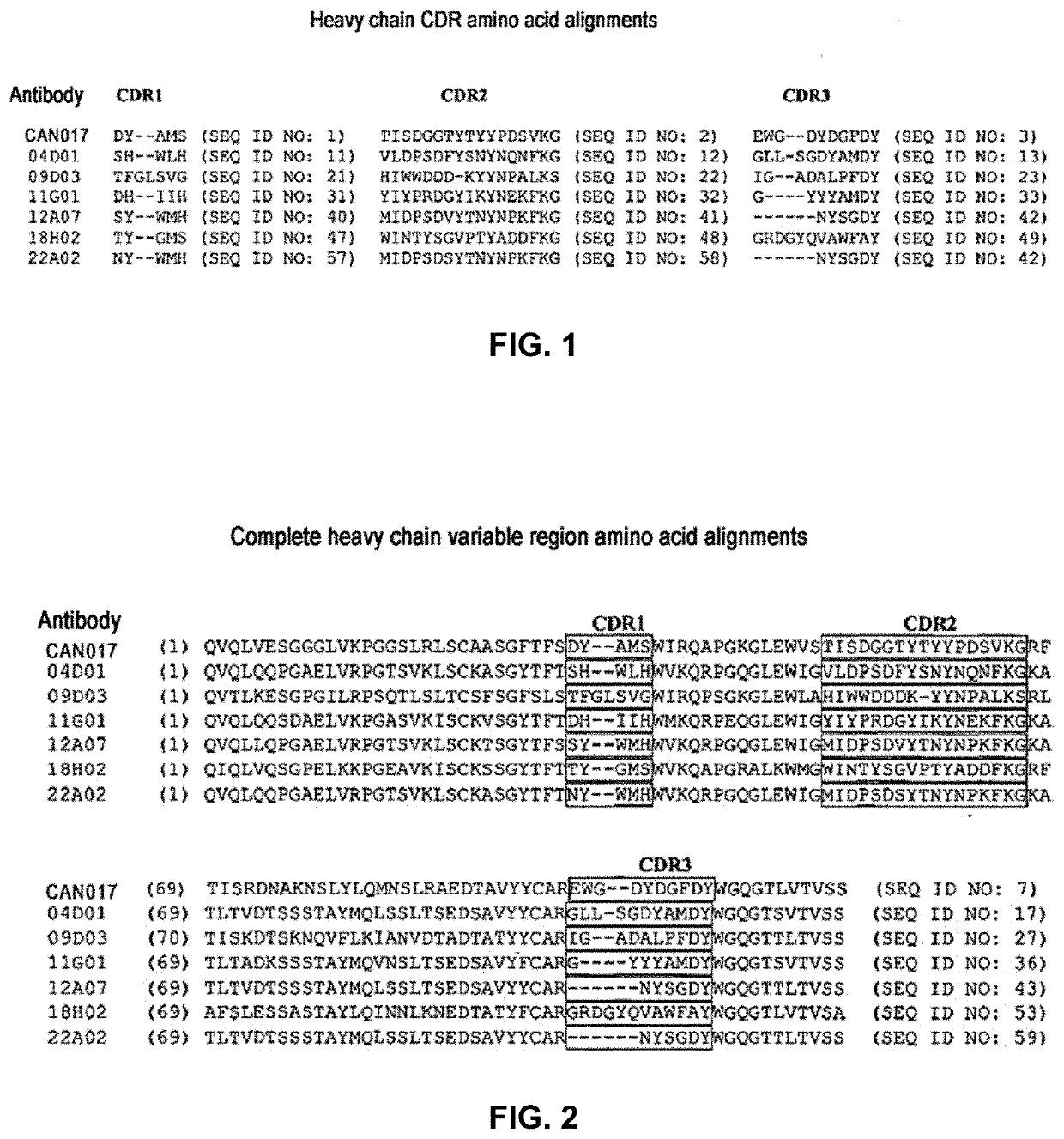 Method for predicting response of esophagus cancer to Anti-erbb3 antibody therapy, and kit