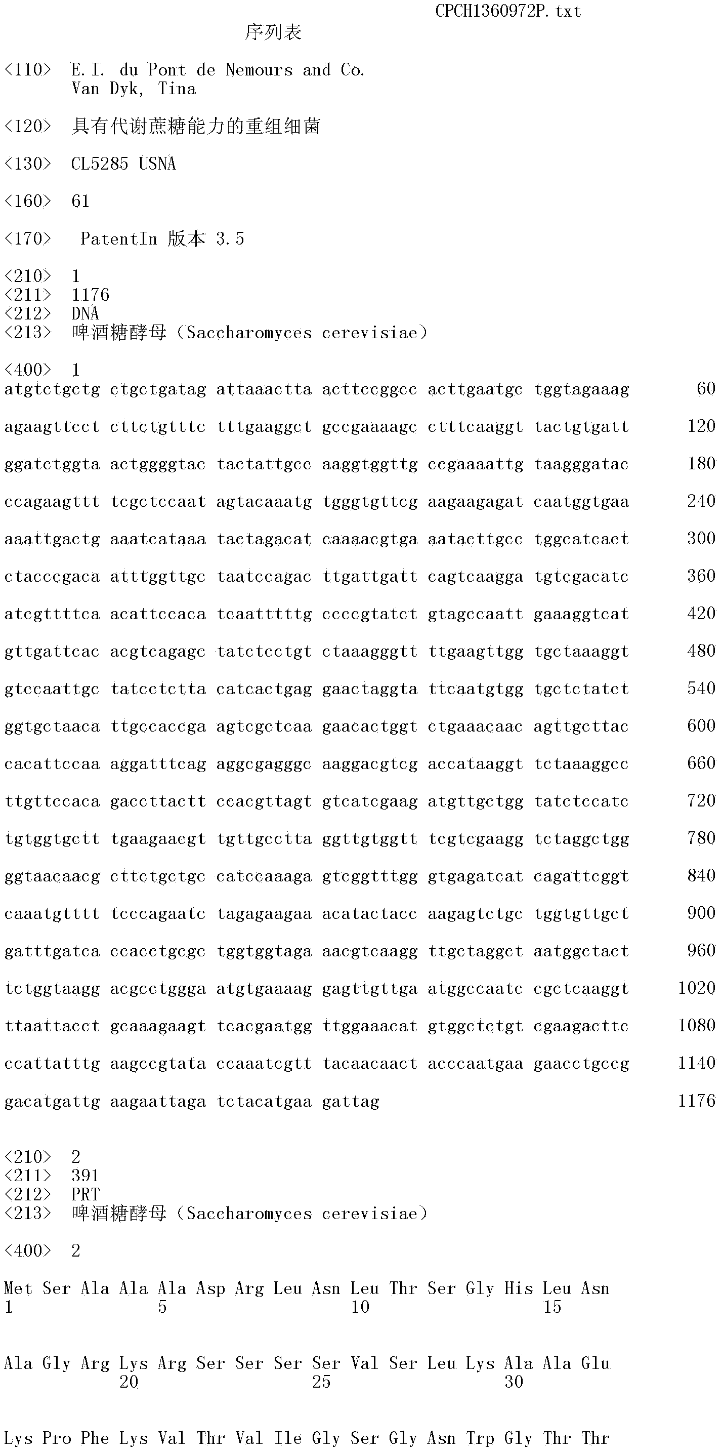 Recombinant bacteria having the ability to metabolize sucrose