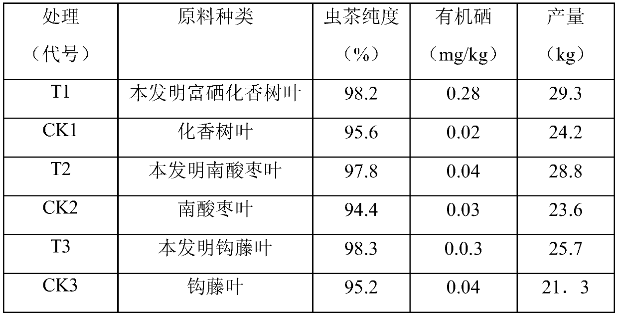 Production method for improving purity of wild insect tea