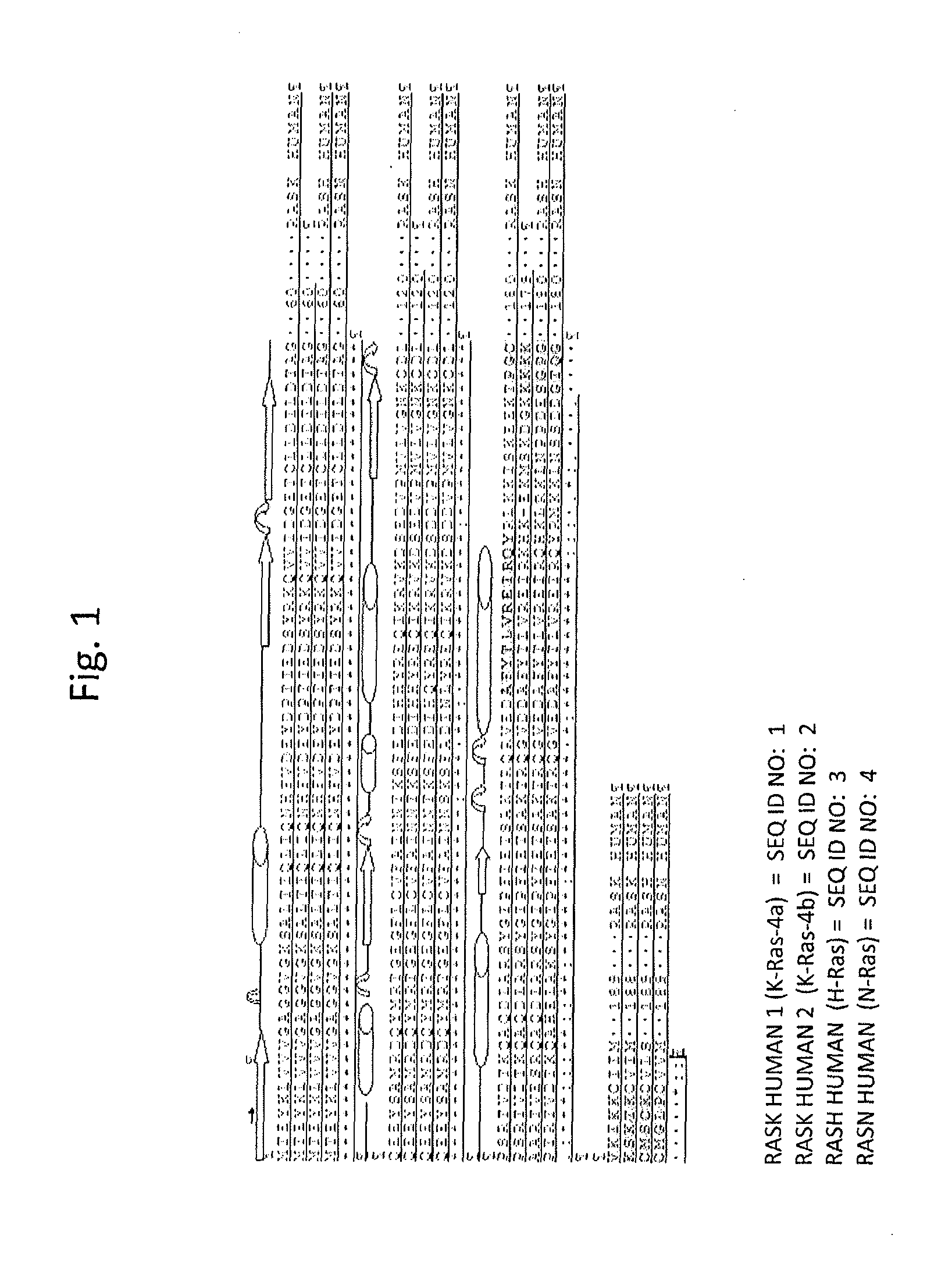 Lipopeptide inhibitors of ras oncoproteins