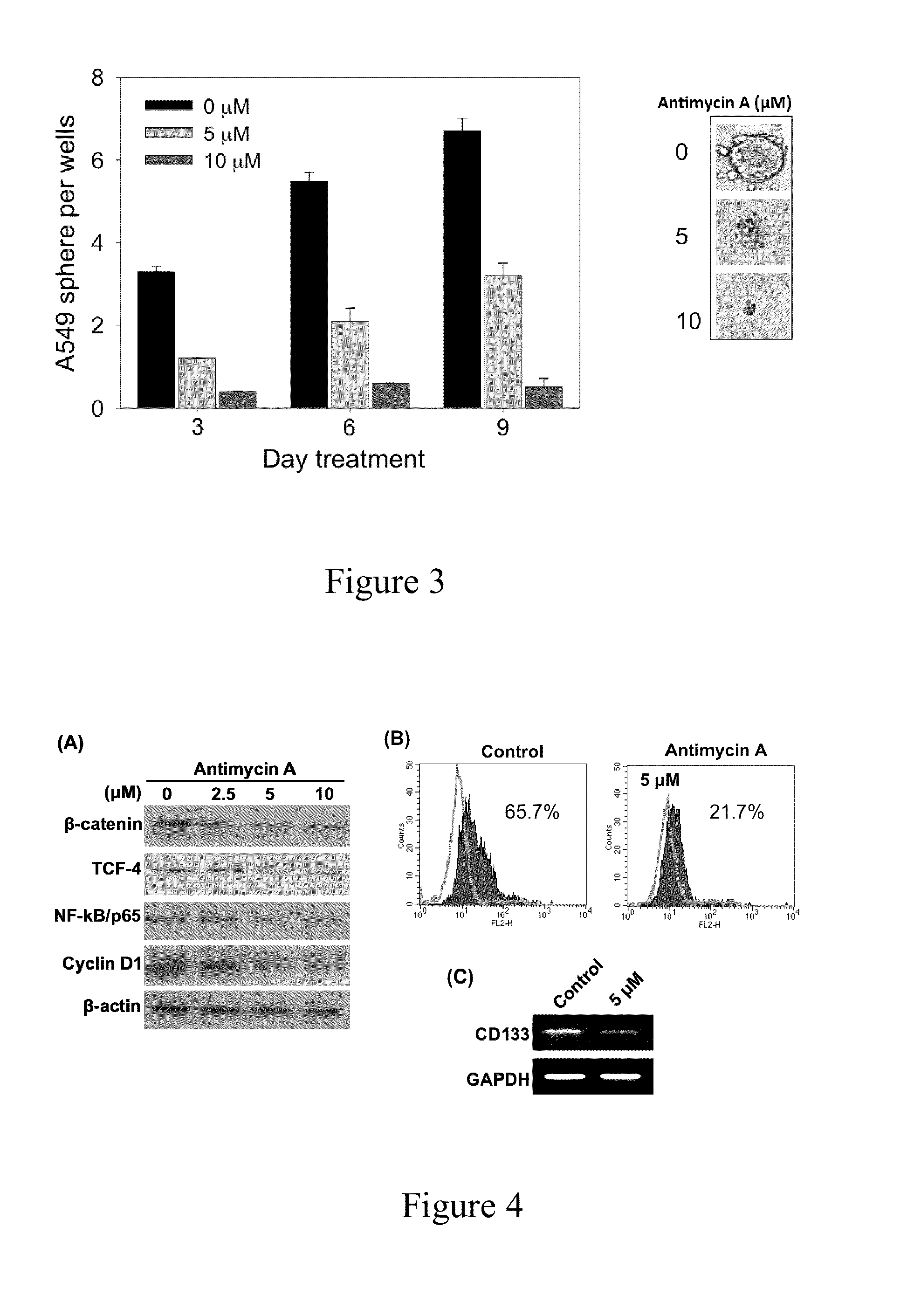 Method for inhibiting the growth of cancer stem cell