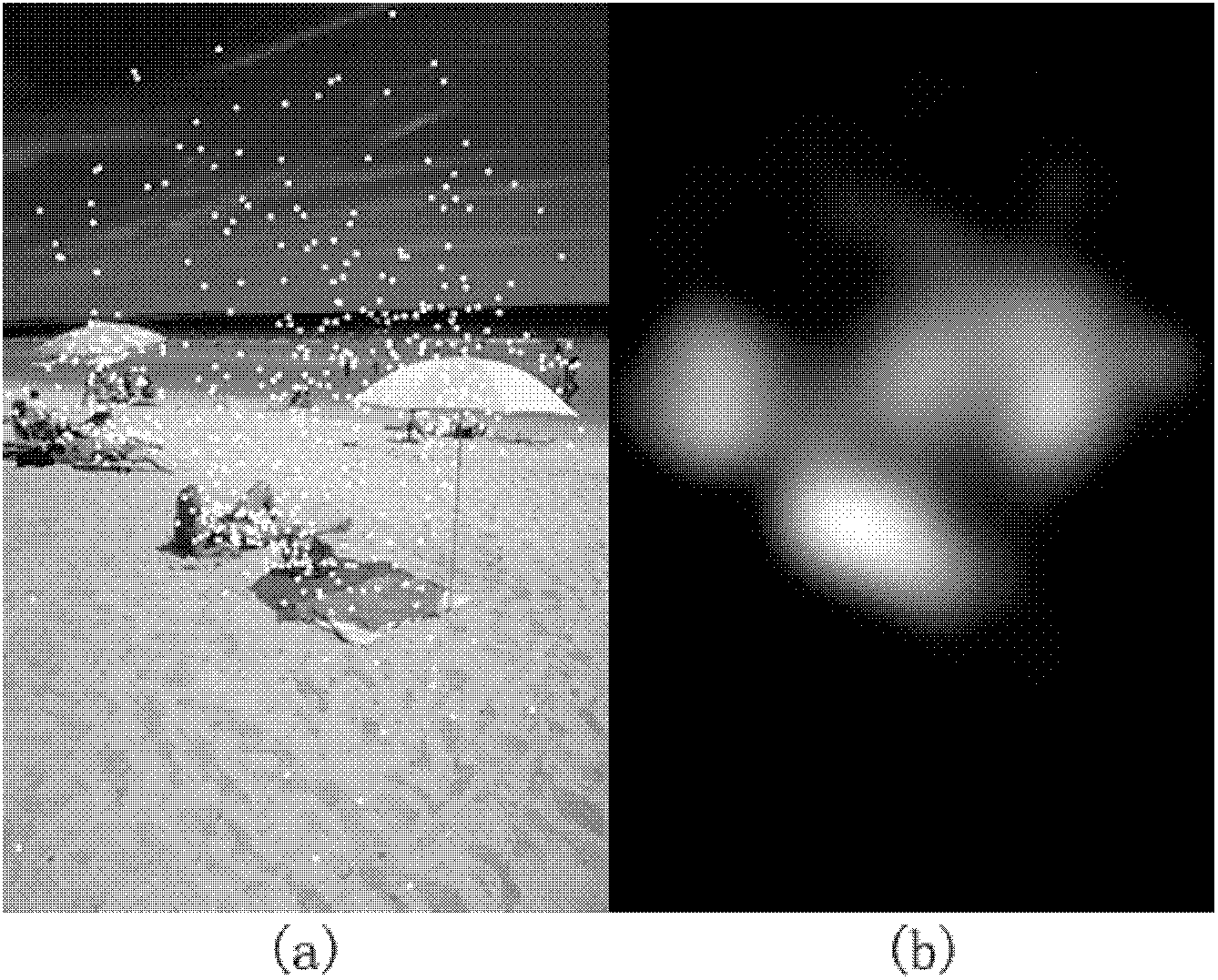 Method for extracting image region of interest based on eye movement data and bottom-layer features