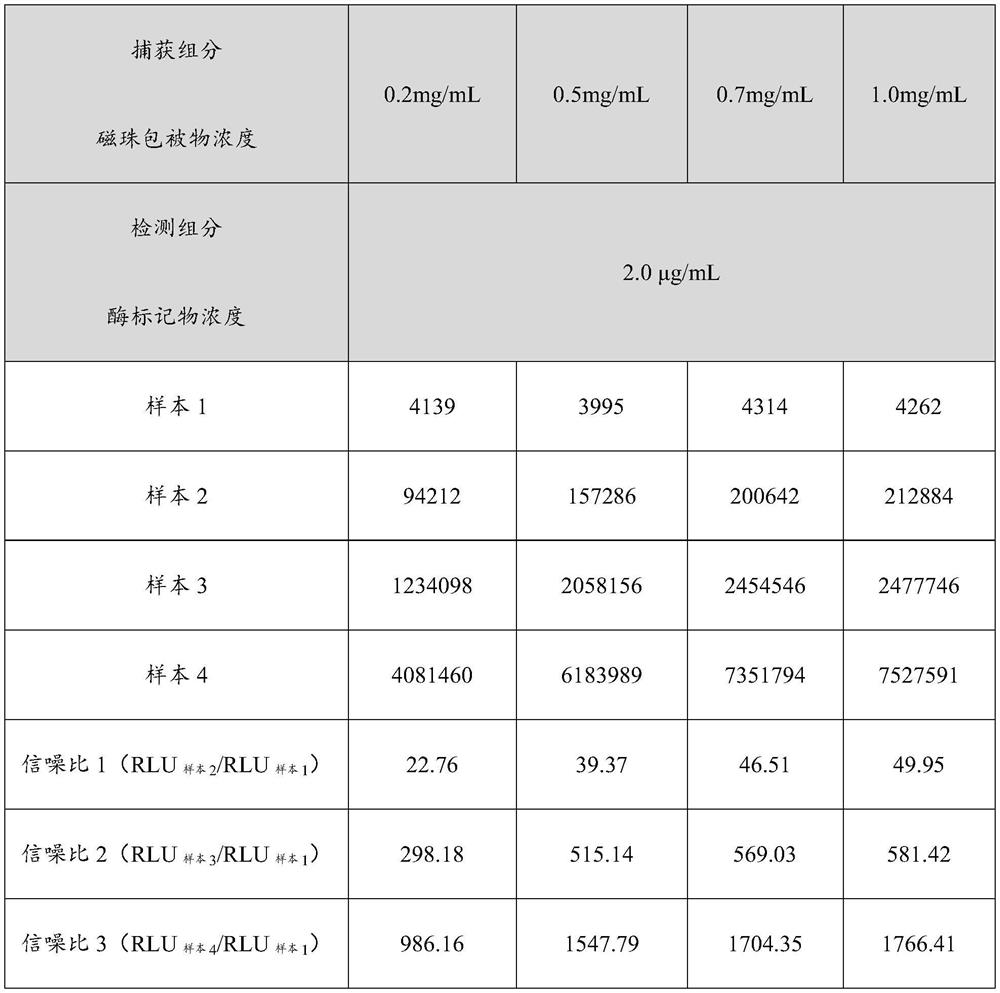 Kit for detecting coronavirus antibody and detection method of coronavirus antibody