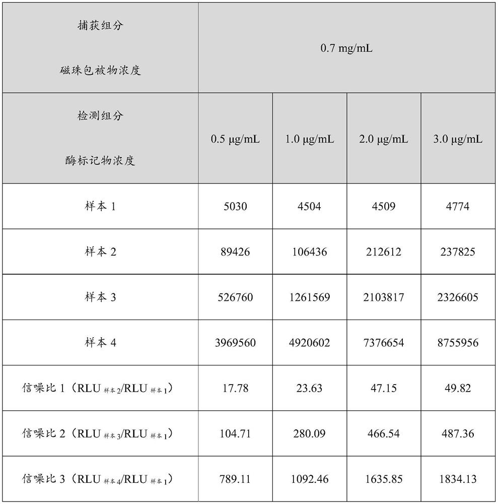 Kit for detecting coronavirus antibody and detection method of coronavirus antibody