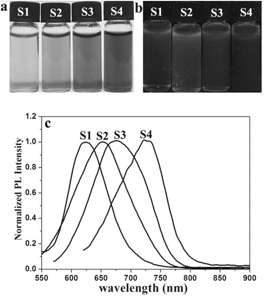 Method for preparing silver sulfide nanocrystalline with near infrared fluorescence using one-step aqueous phase process