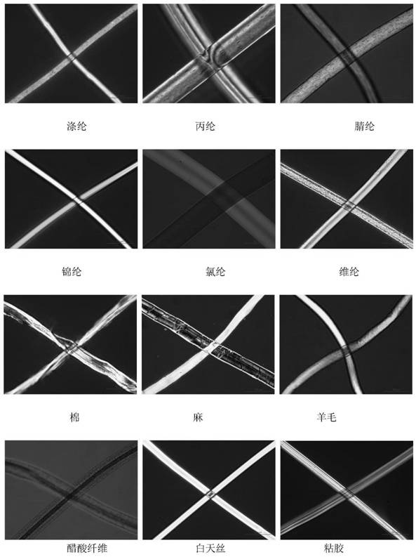 Fiber comparison sheet for court science polarized light microscope inspection and preparation method thereof