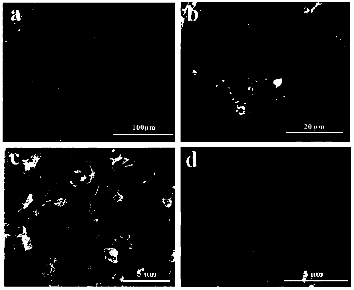 Carbon nanotube/graphene/silicon composite lithium battery negative electrode material and preparation method thereof