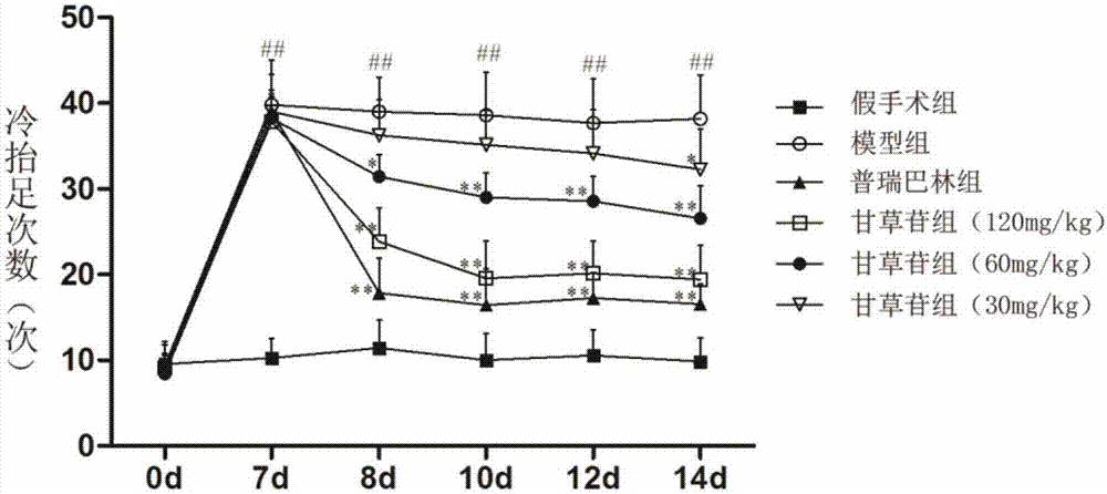 Pharmaceutical purpose of liquirtin treating neuropathic pain