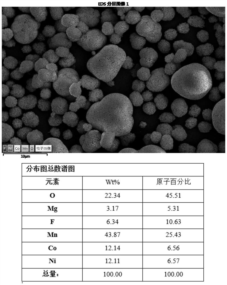 Lithium-rich manganese-based precursor and preparation method thereof, lithium-rich manganese-based positive electrode material and preparation method thereof, and lithium ion battery
