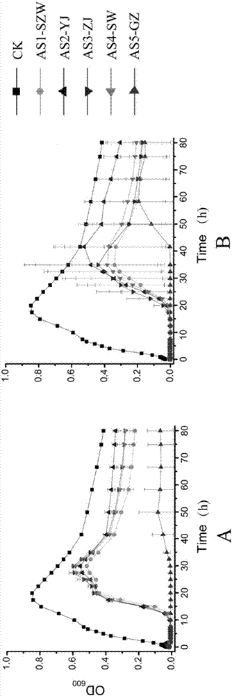 Aeromonas salmonicida bacteriophage, sterilization composition with same and application of same