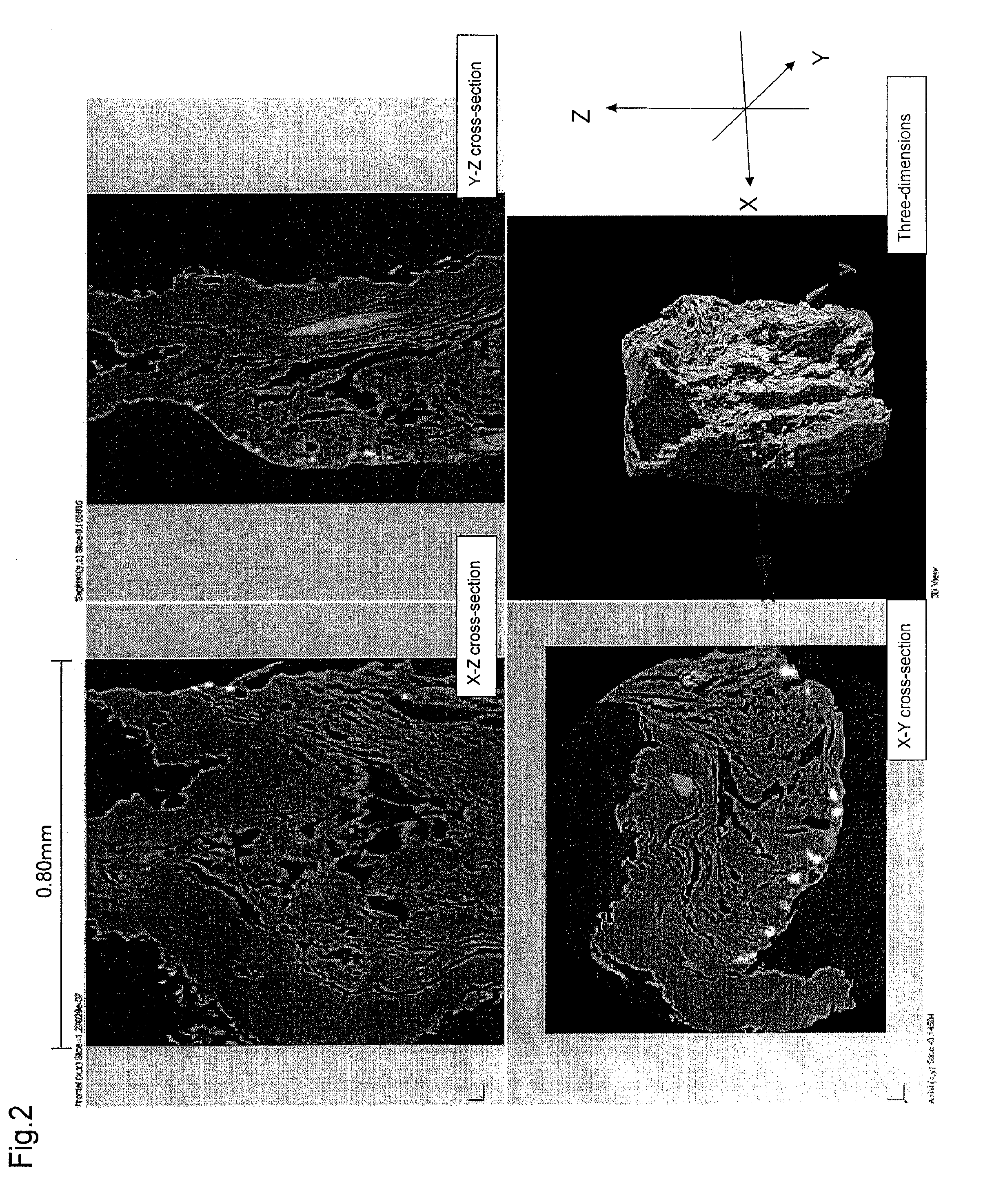 Method for manufacturing aloe powder