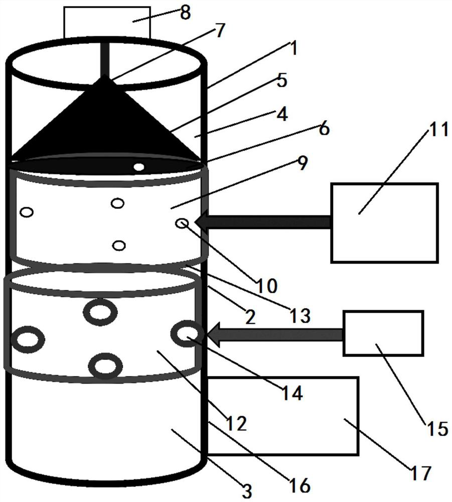 A device for establishing an animal model of silicosis and its evaluation method