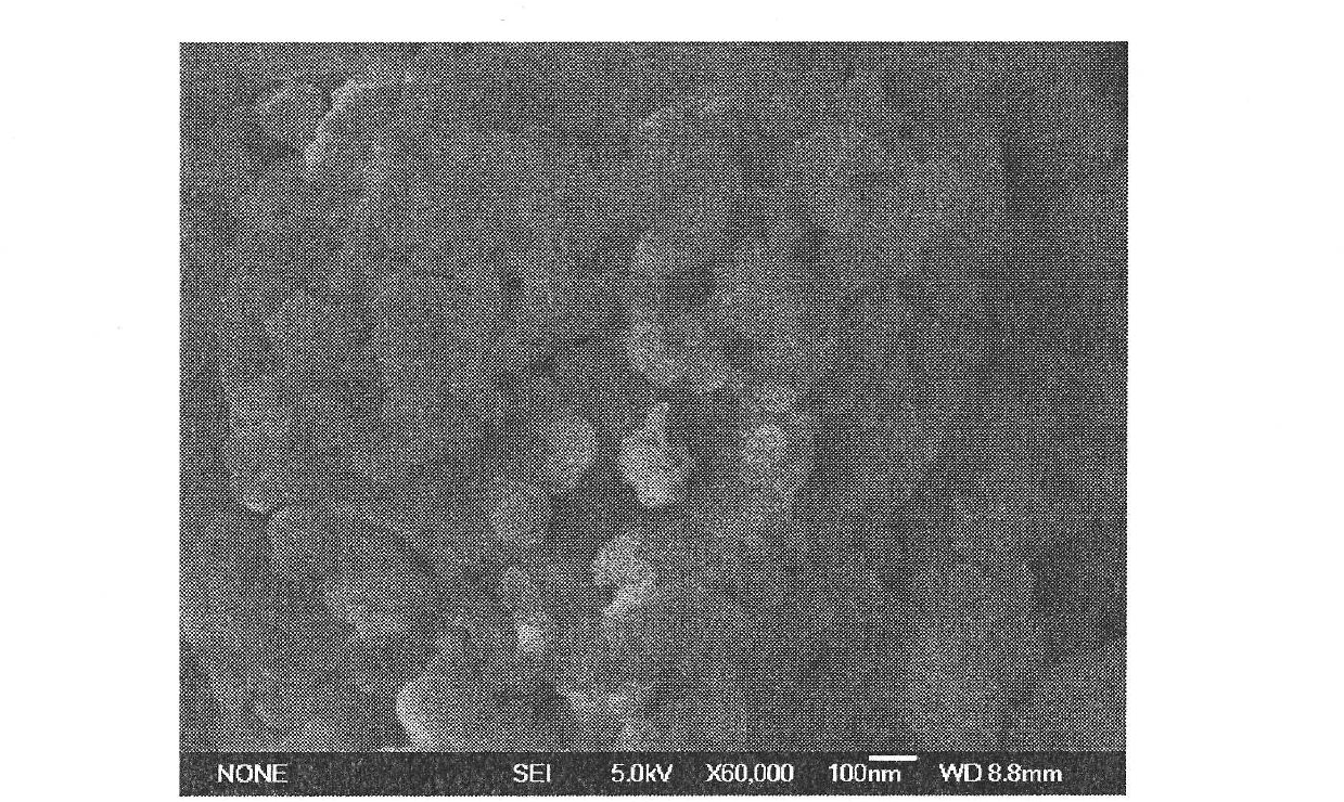 Abandoned shell/nanometer Cu2O composite photocatalyst material as well as preparation and application thereof