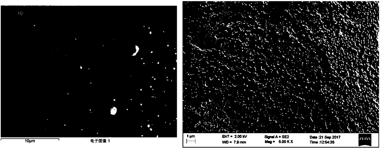 Preparation method of mould proof heat treatment wood and application thereof