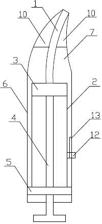 Instrument for puncture and injection administration