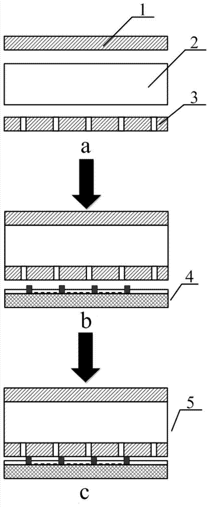 Electrodeformable thin film array, its preparation method and application
