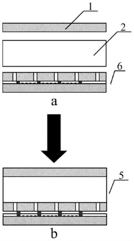 Electrodeformable thin film array, its preparation method and application