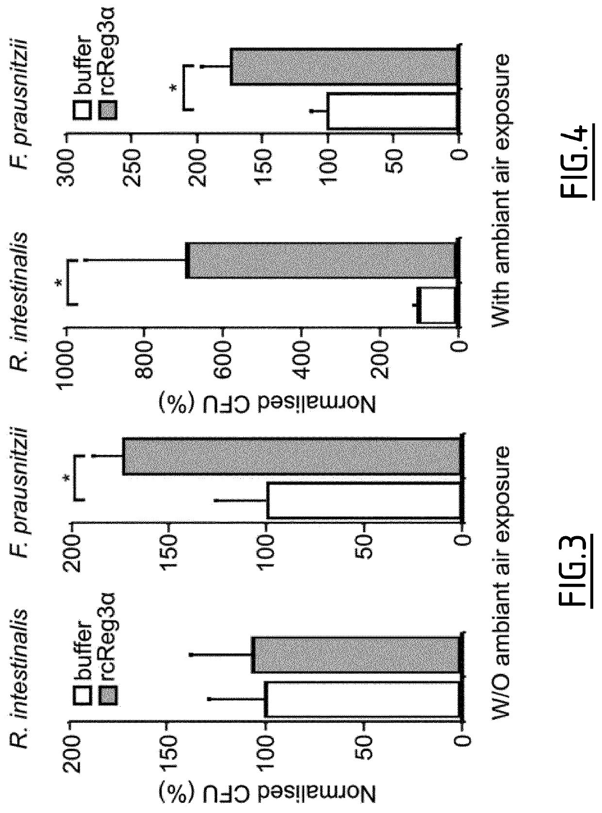 Polypeptide for use in the protection of oxygen sensitive gram-positive bacteria