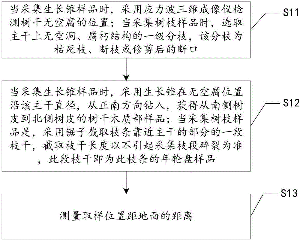 Method for dating tree rings and device for implementing method