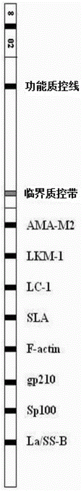 Kit for detecting relevant autoantibody spectrum of autoimmune liver disease