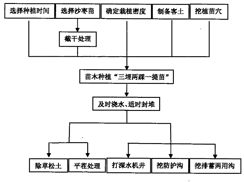 Severe soda saline-alkaline land elaeagns angustifolia afforestation keep-alive method