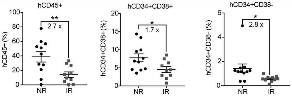 Construction method and application of research model of bystander effector damaged hematopoietic stem progenitor cells