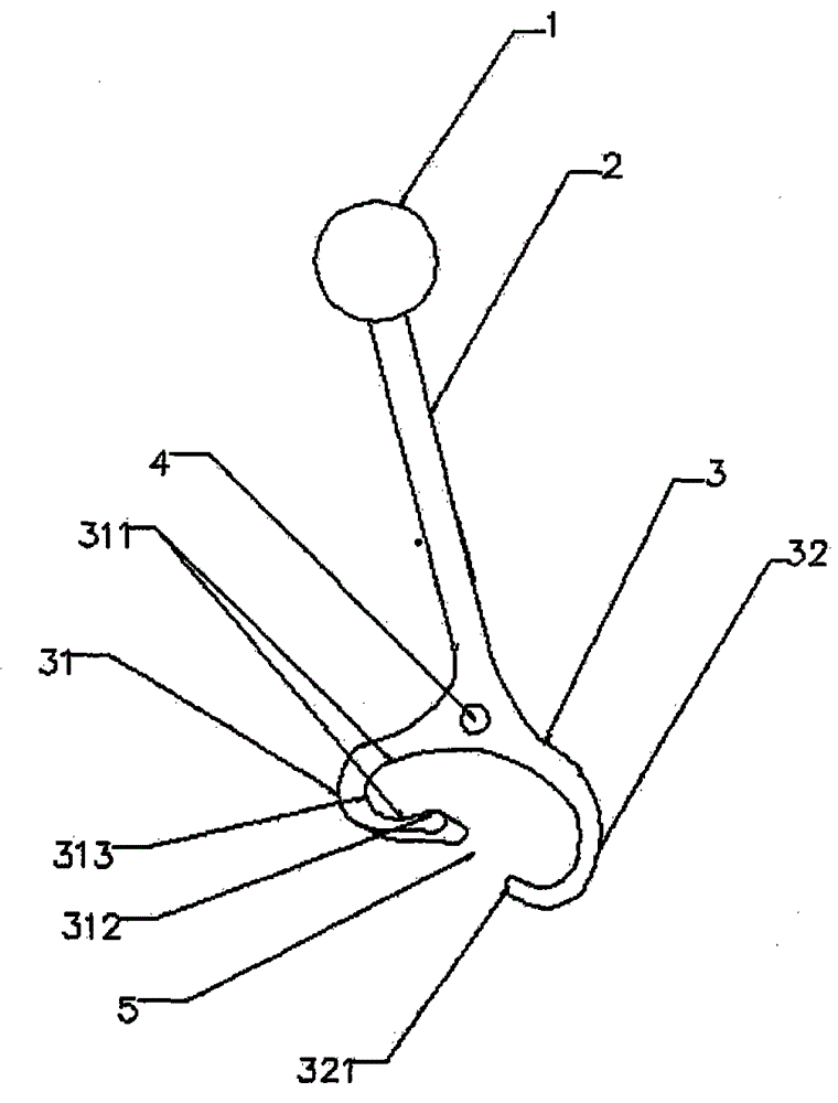 Secondary opening door hook