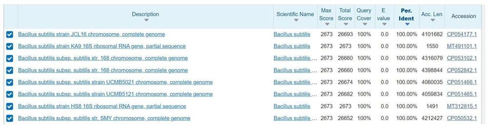 Bacillus subtilis DK-03 and application thereof