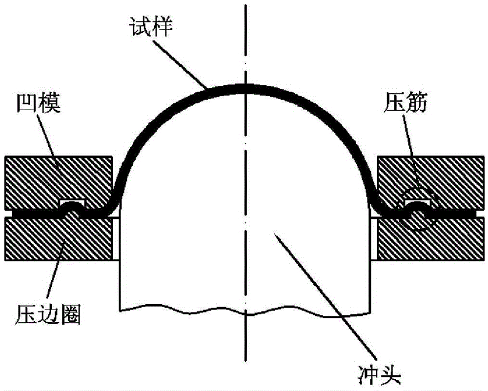 flc test method based on strain rate change