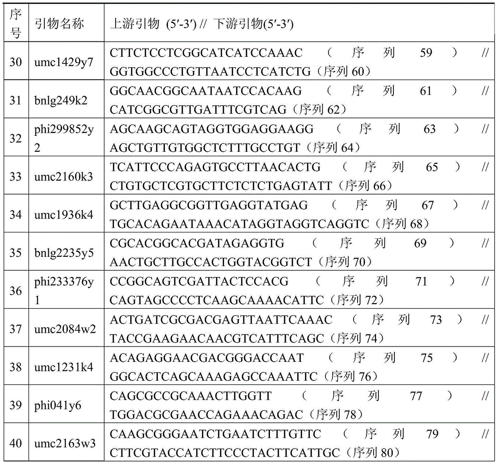Seed production method of nk718 three-line mating hybrid