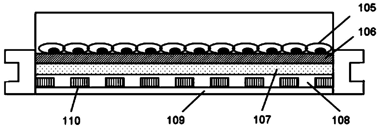 A culture dish device and a method for culturing cell membranes