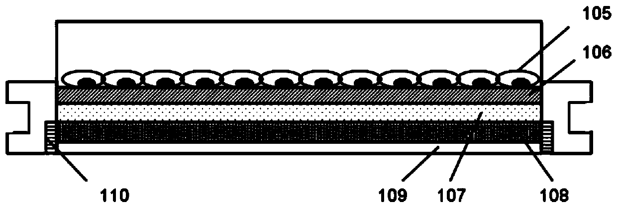 A culture dish device and a method for culturing cell membranes