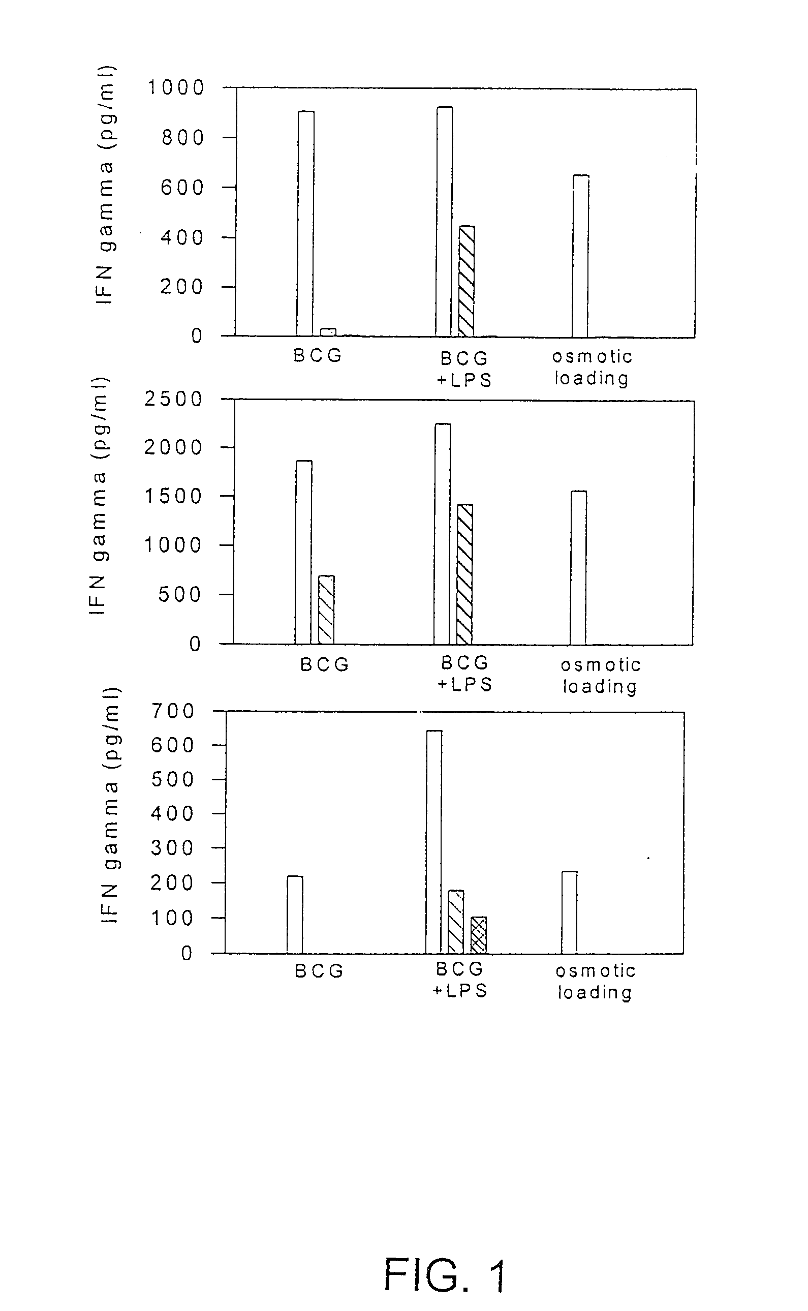 Method to increase class i presentation of exogenous antigens by human dendritic cells