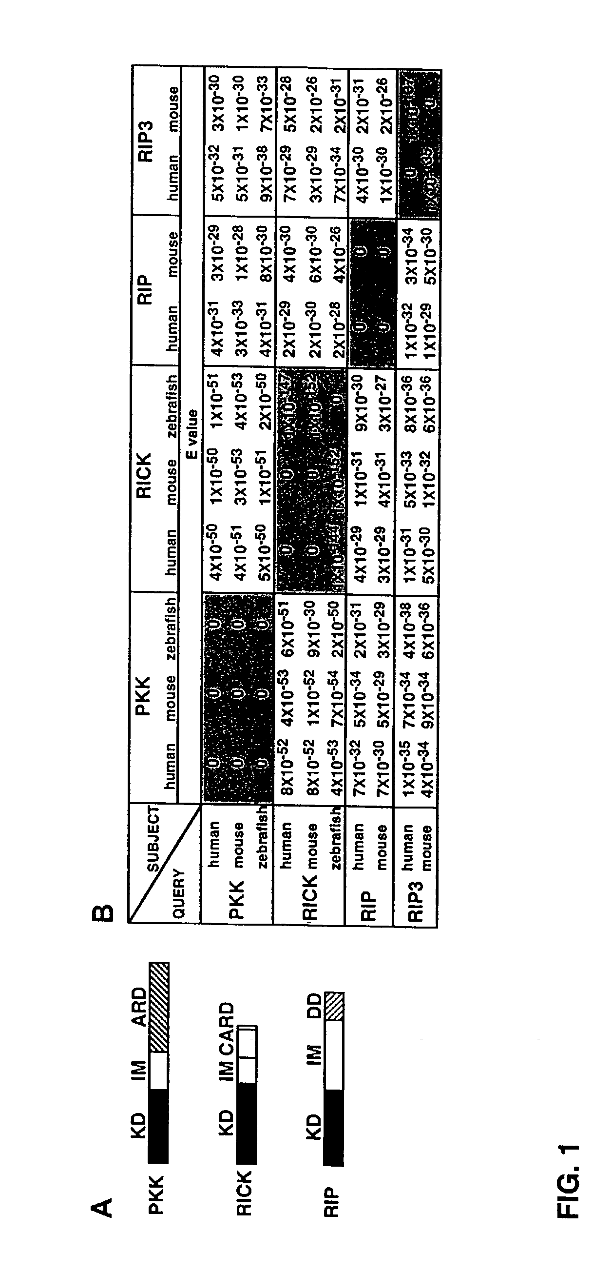 Methods and compositions for regulating cellular signaling