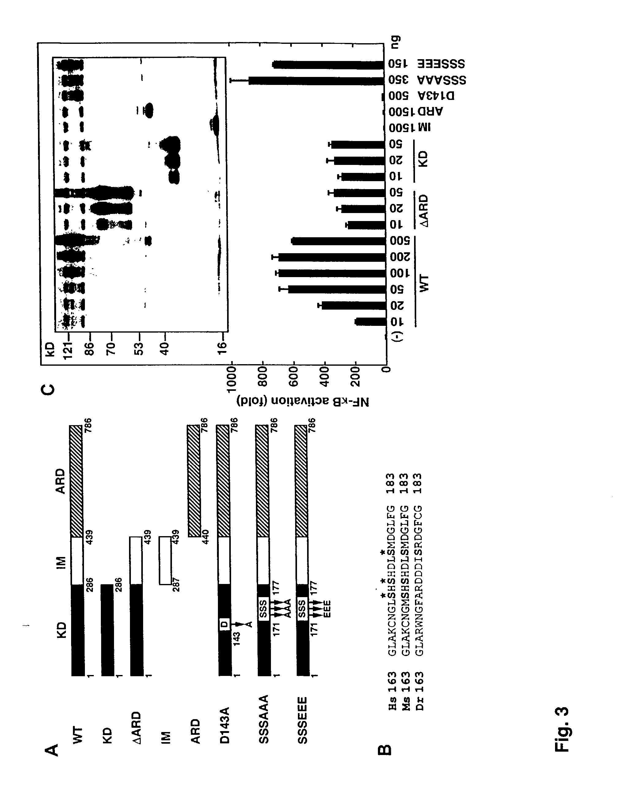 Methods and compositions for regulating cellular signaling
