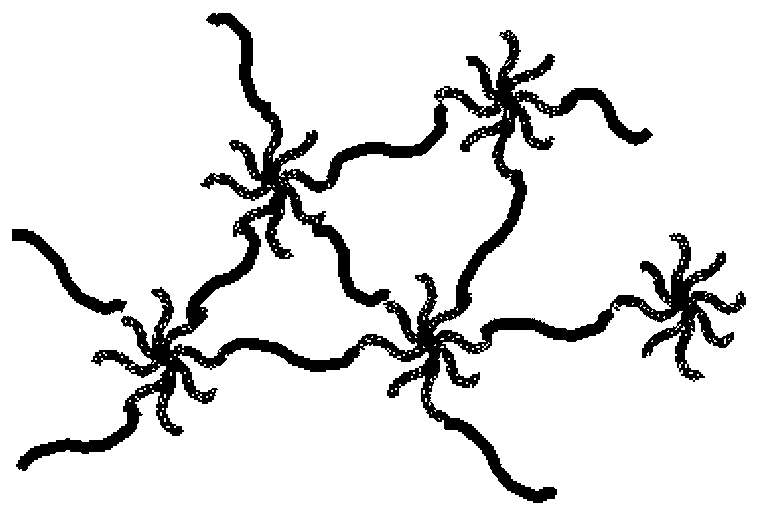 Dimethyl-siloxane-modified poly(2-hydroxyethyl methacrylate-methacrylic acid) amphiphilic copolymer and preparation method thereof