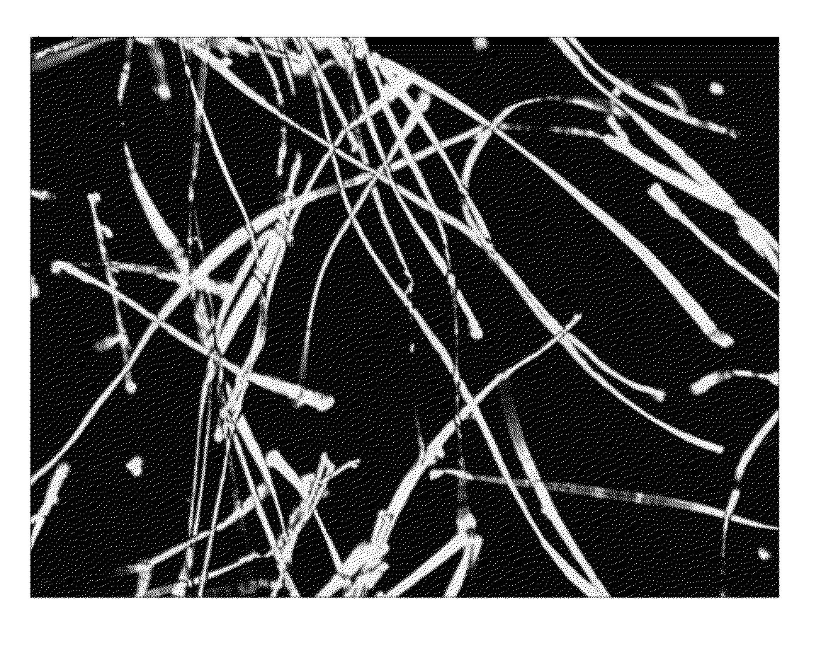 Method for measuring fiber content of polyethyleneterephthalate and polytrimethyleneterephthalate fibers