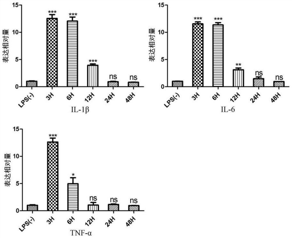 Application of paliurus ramosissimus or paliurus ramosissimus extract in preparation of pulp capping material