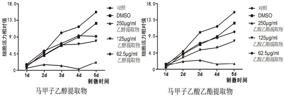 Application of paliurus ramosissimus or paliurus ramosissimus extract in preparation of pulp capping material