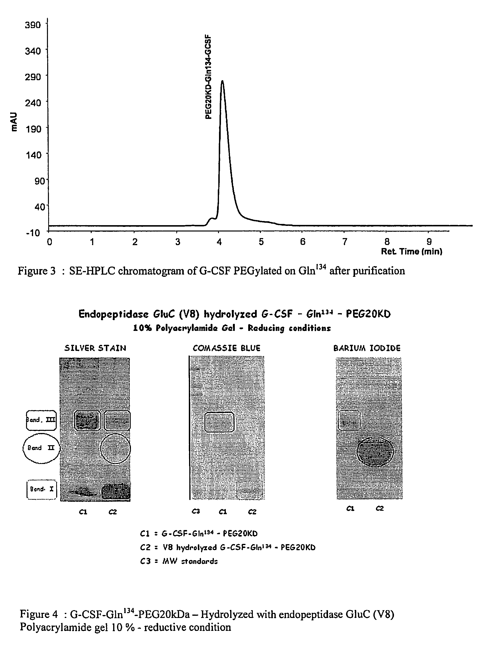 G-CSF site-specific mono-conjugates