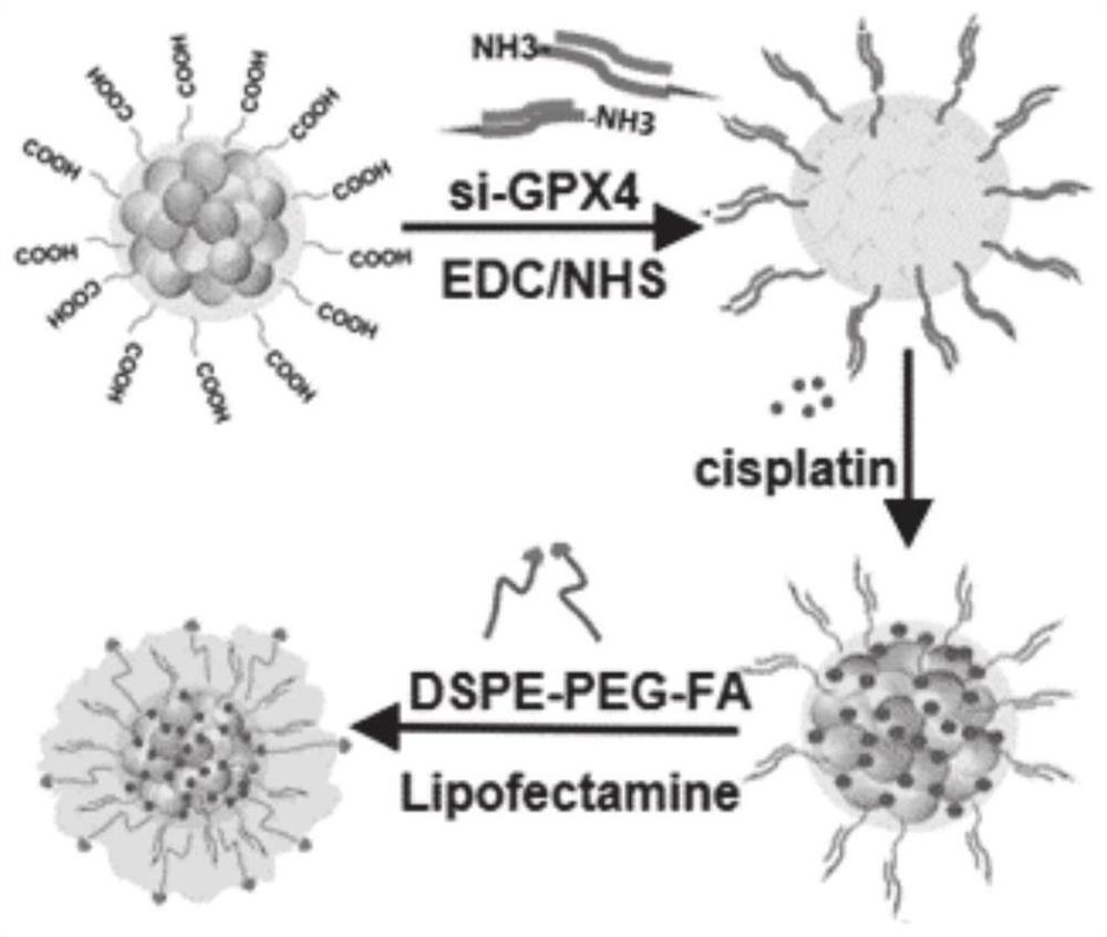 A kind of nanoparticle and its preparation method and application